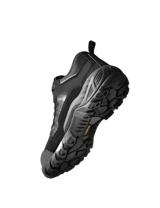 shoe